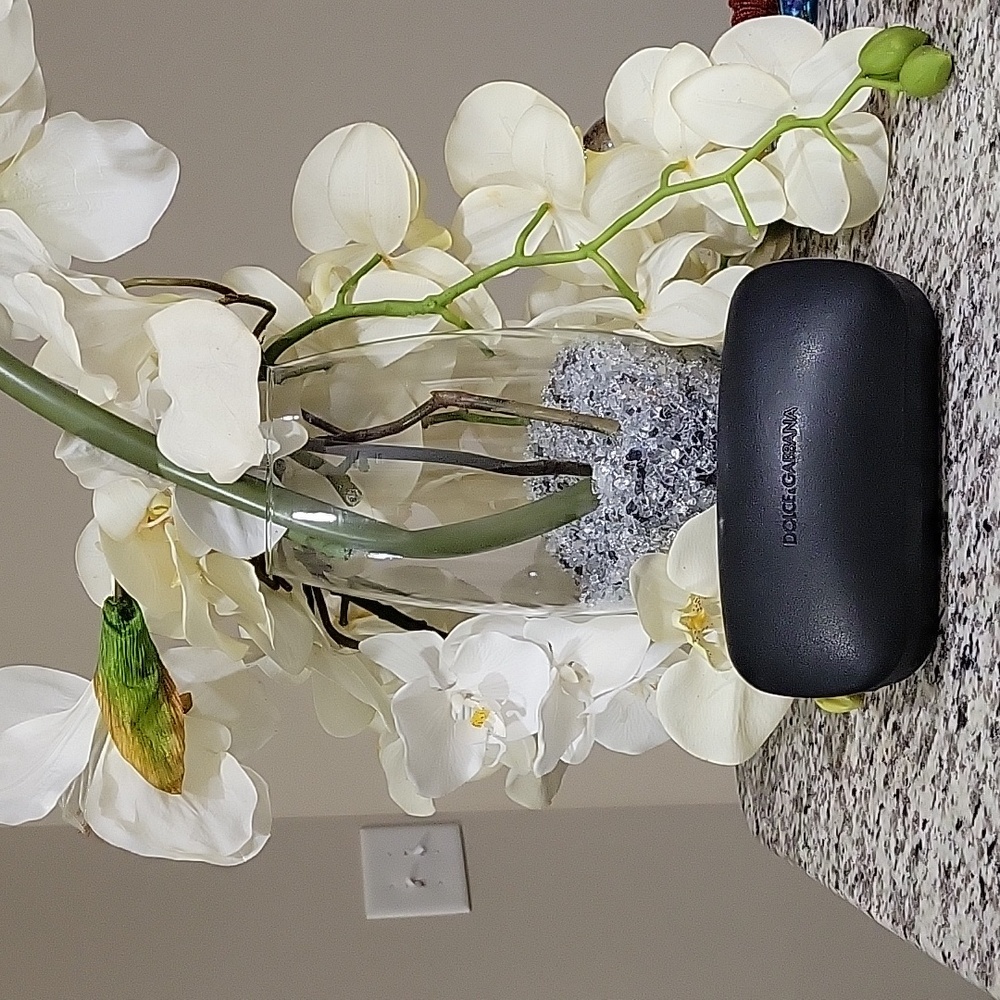 Dolce & Gabanna DG 6023 Chocolate  Brown Sunglasses